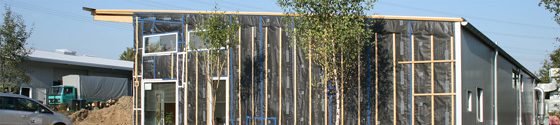 20090927-Baeume.jpg