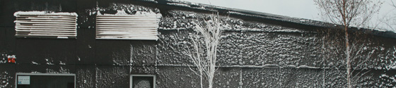 20100109-Halle-im-Schnee.jpg