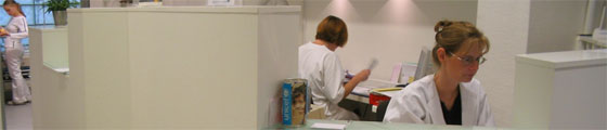 4110.jpg